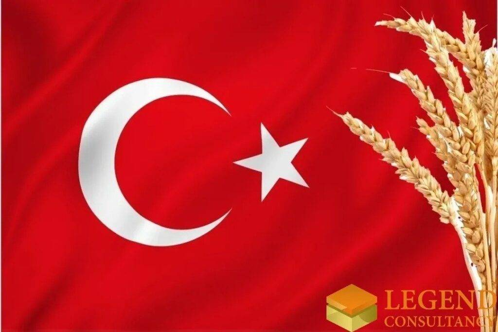 Turkey expected to produce more wheat in 2022-23